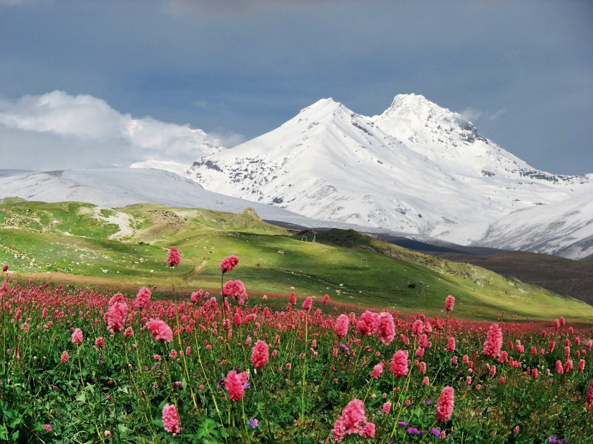 Альпийские луга кабардино балкарии