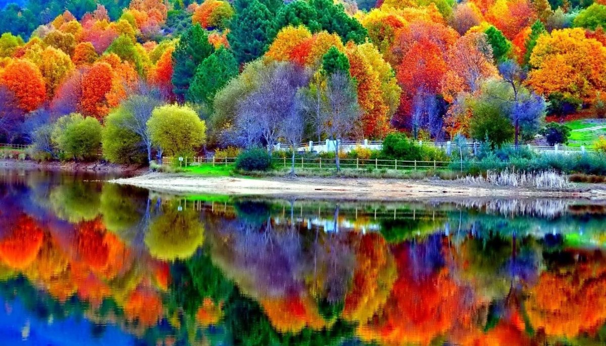 Яркие краски природы
