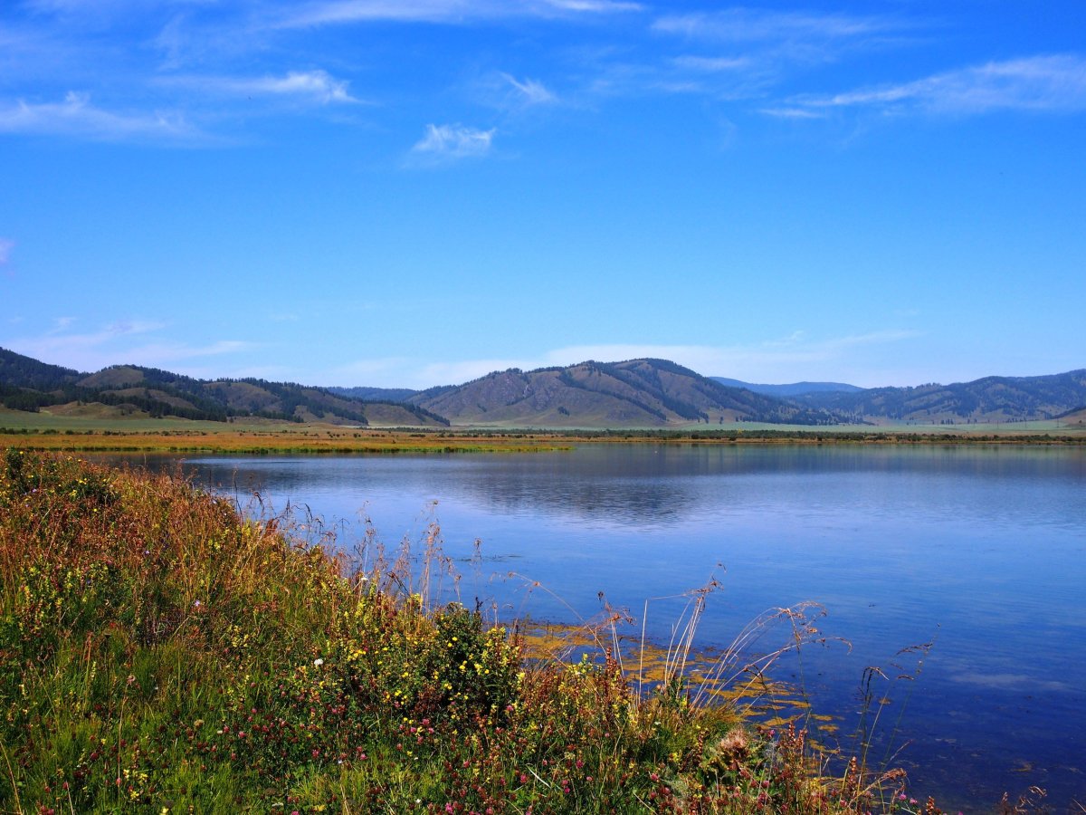 Тенгинское озеро горный алтай