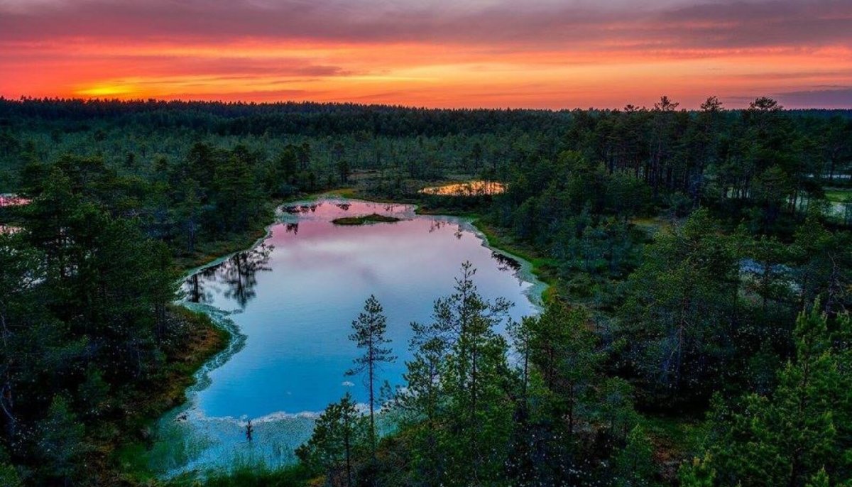 Озера эстонии