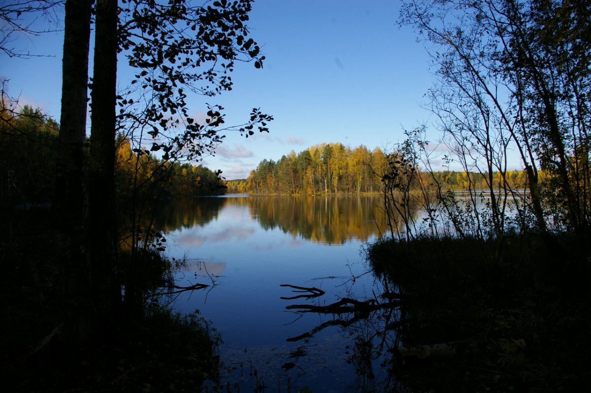 Озеро суури приозерский район