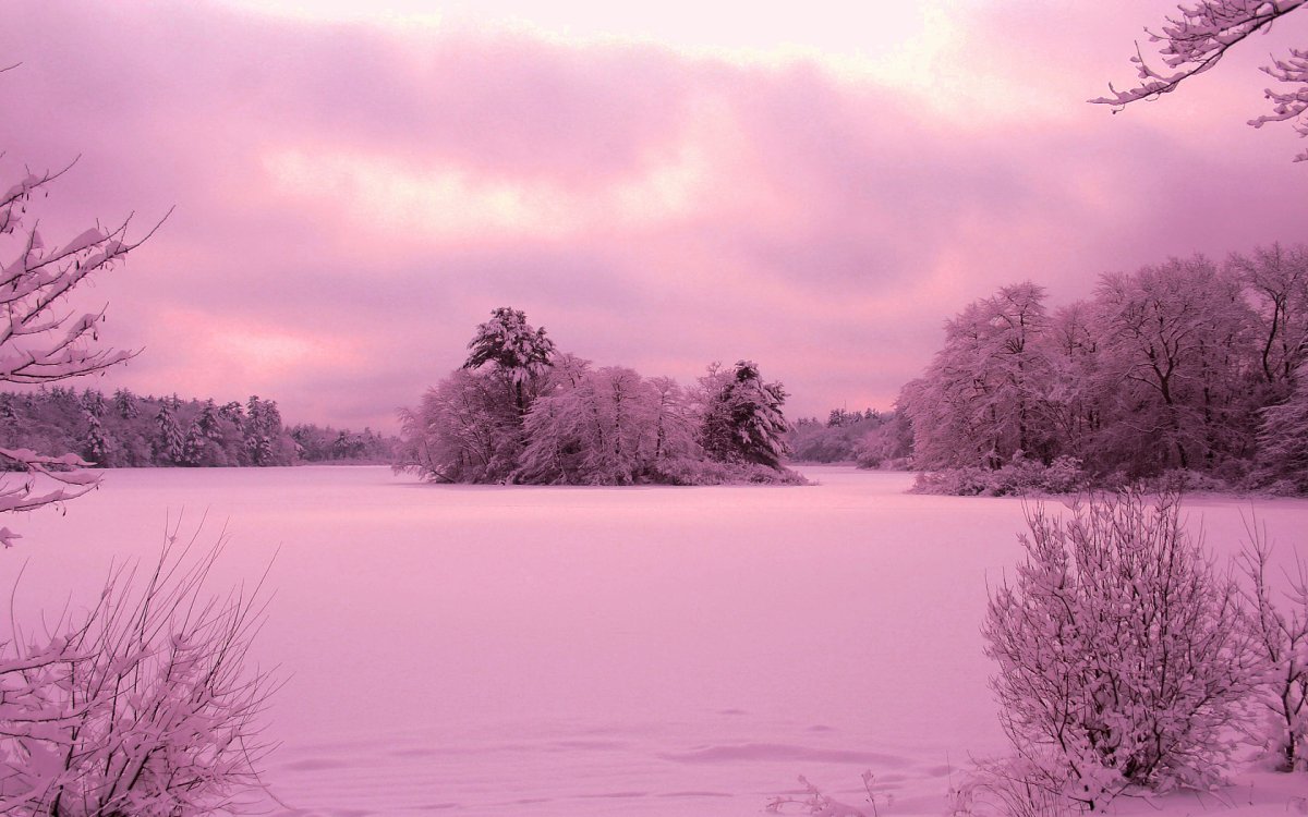 Розовый рассвет зимой