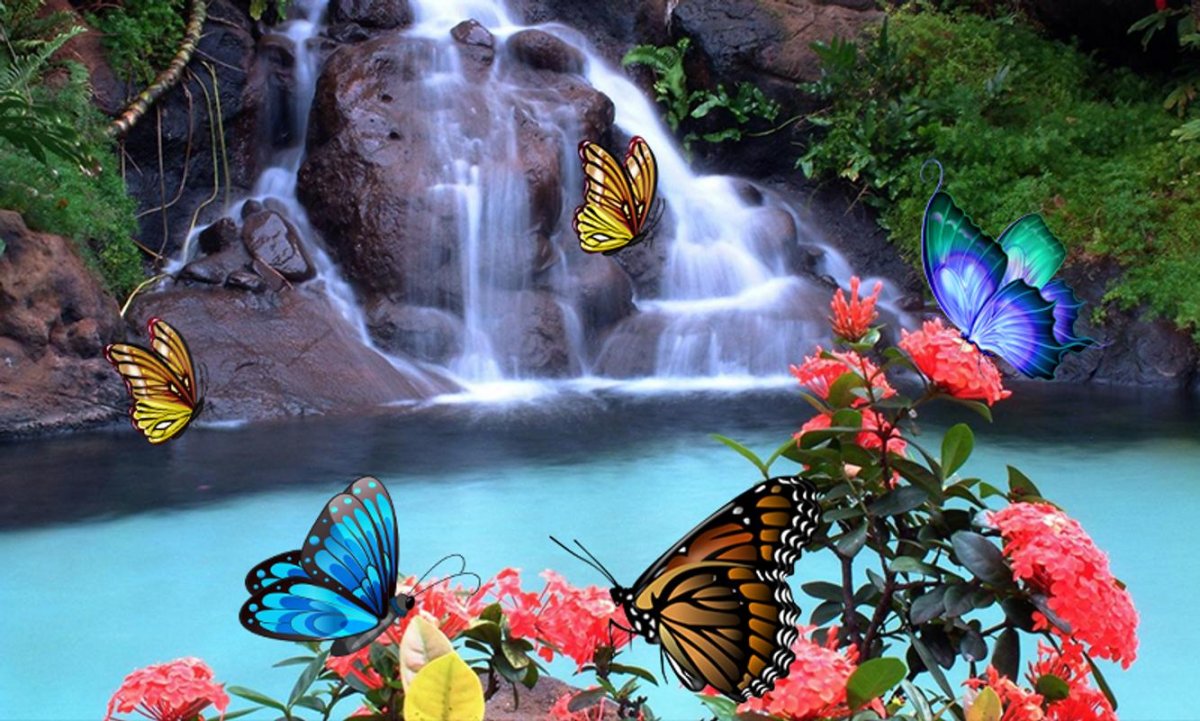 Водопад и бабочки