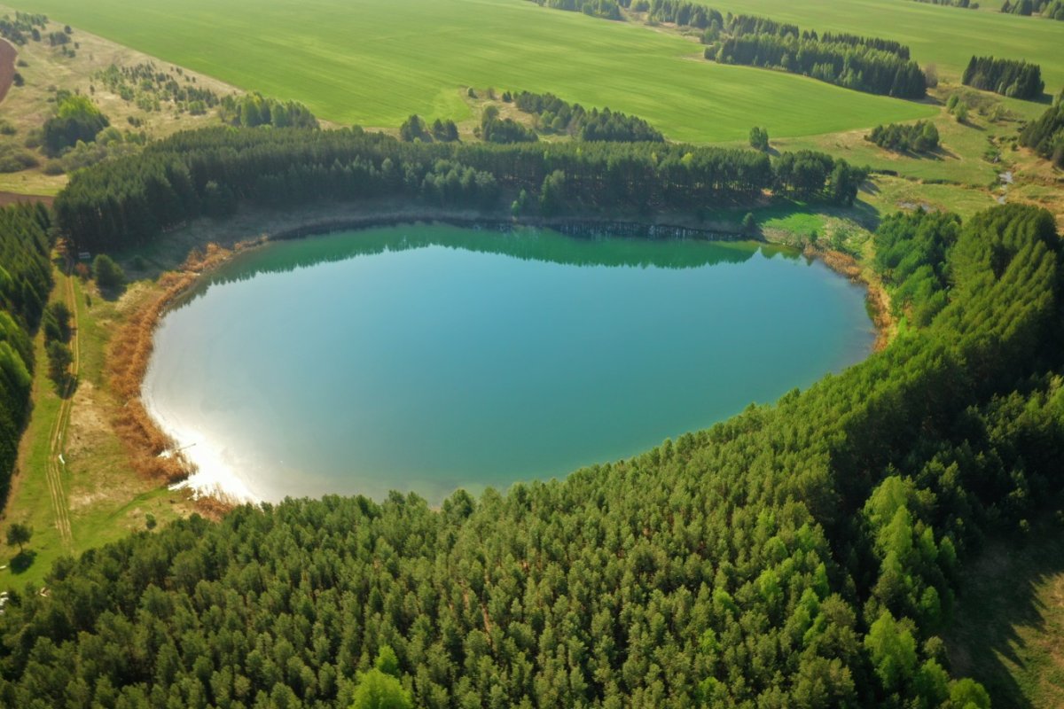 Озеро круглое кировская область