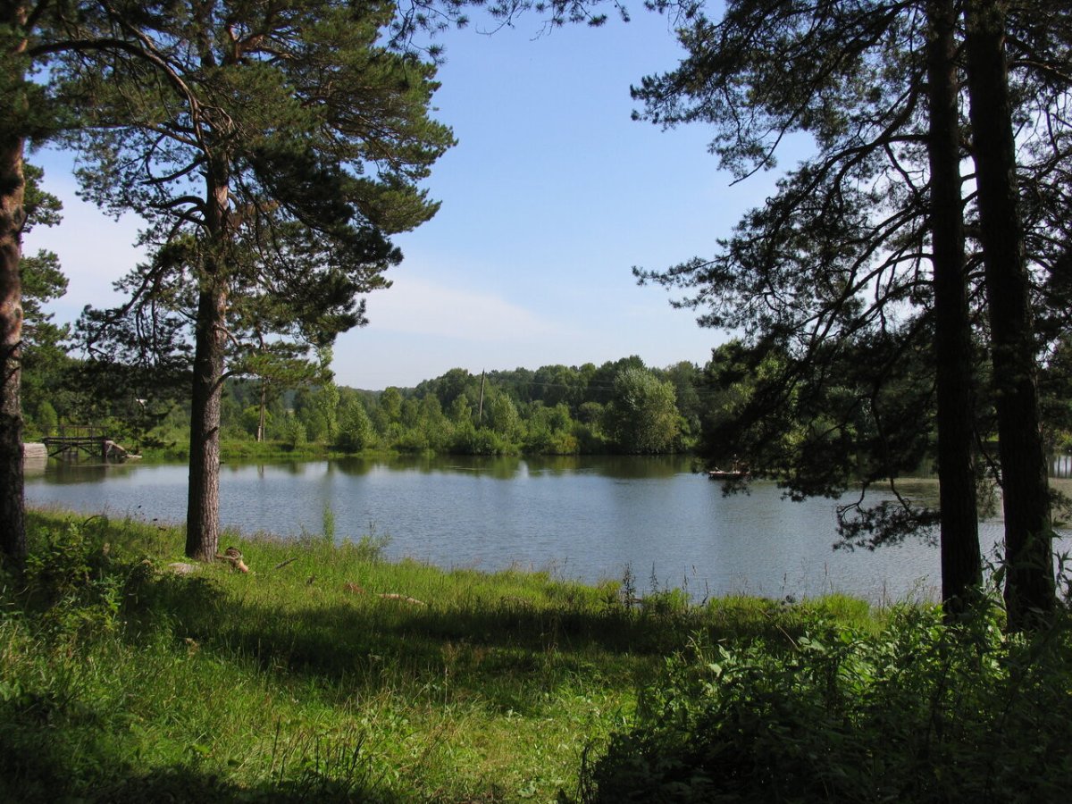 Лесное озеро кемеровская область