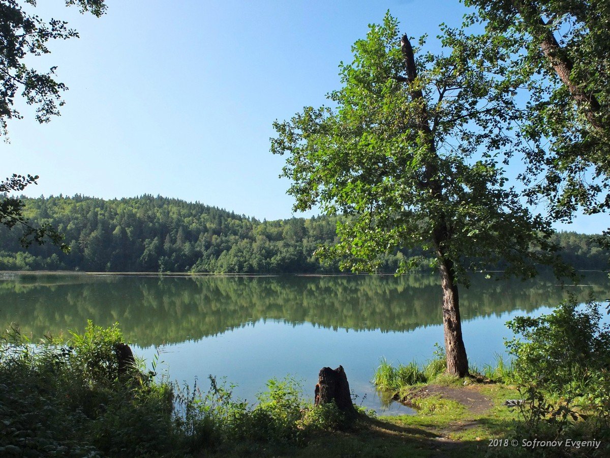 Озеро в озерах ульяновск