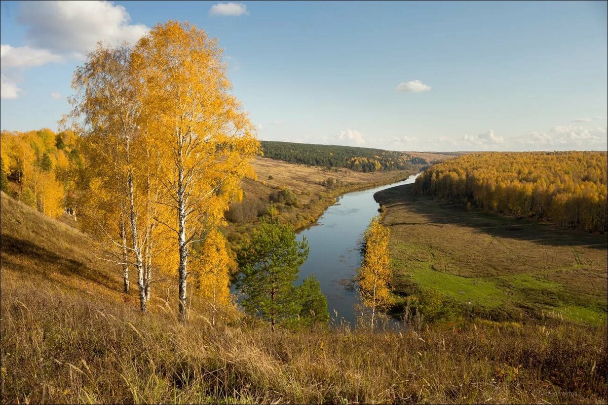 Ласковый край. Николина гора река осень. Красота русской природы. Пейзажи средней полосы России. Осень в России.