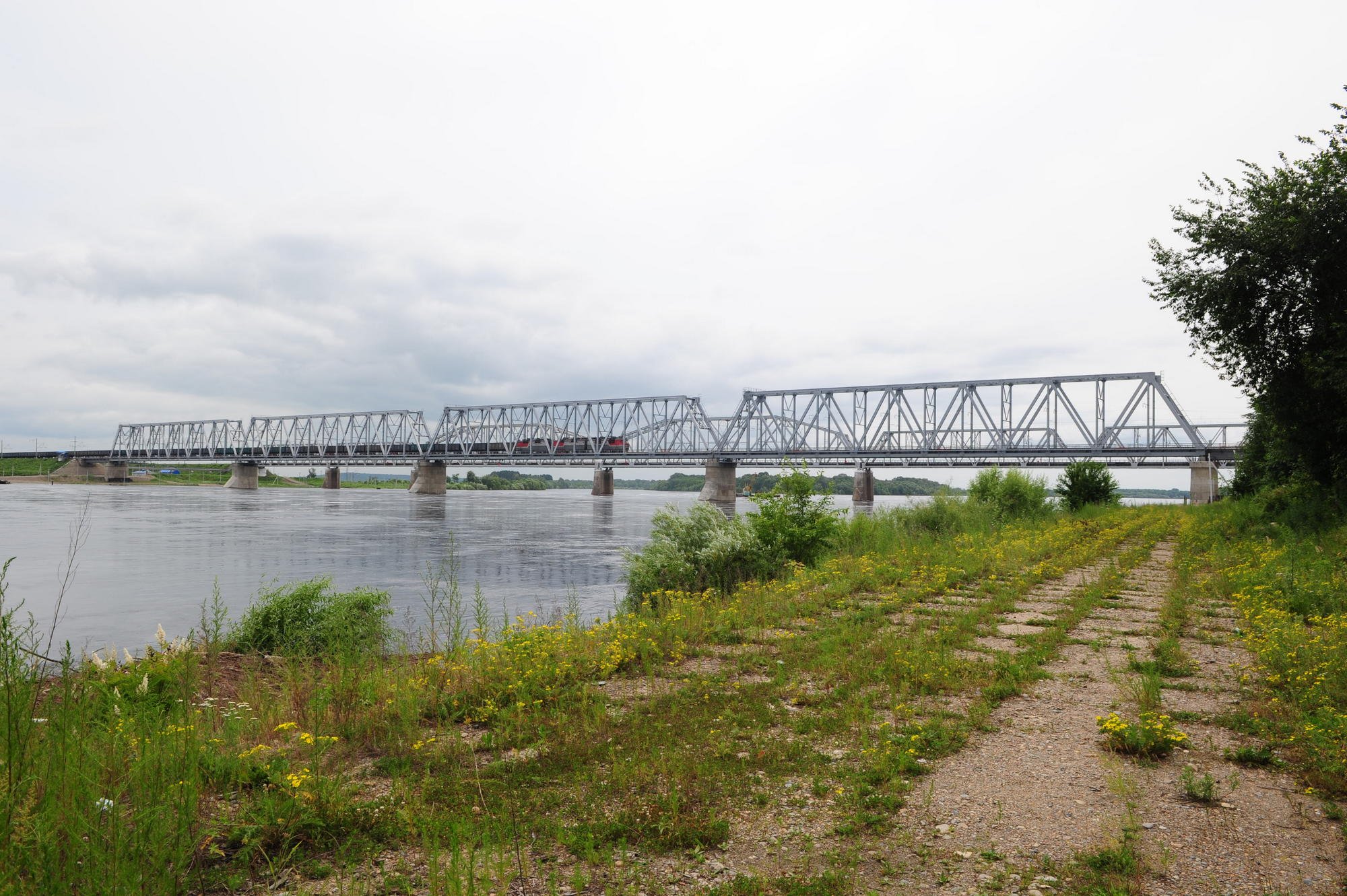 Железнодорожный мост через реку Бурея. Река Бурея Амурская область. Бурея ЖД. Река Бурея Новобурейский.
