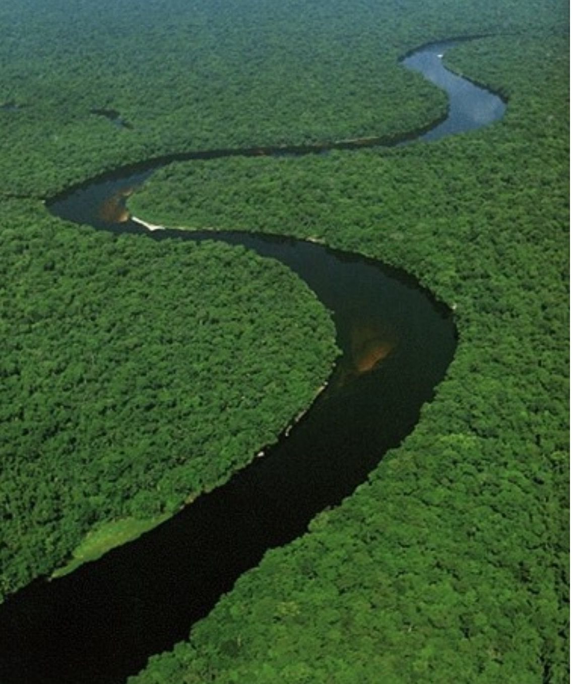 Большие змеи в воде. Амазонка река Анаконда. Впадина Конго. Река Конго. Река Амазонка змея Анаконда.