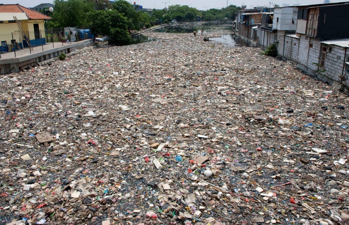 Самая грязная река в мире читарум