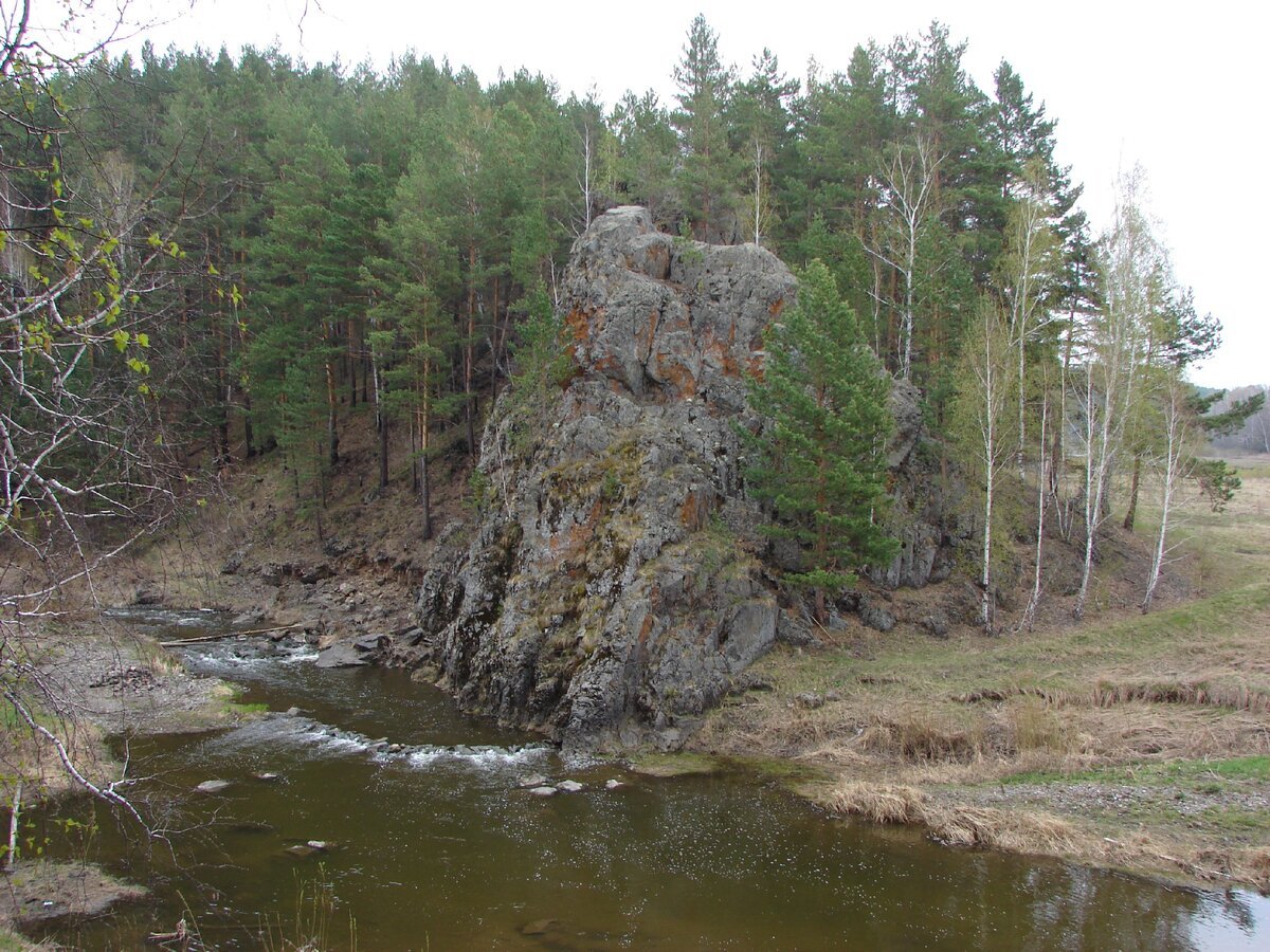 Река камышенка свердловская область