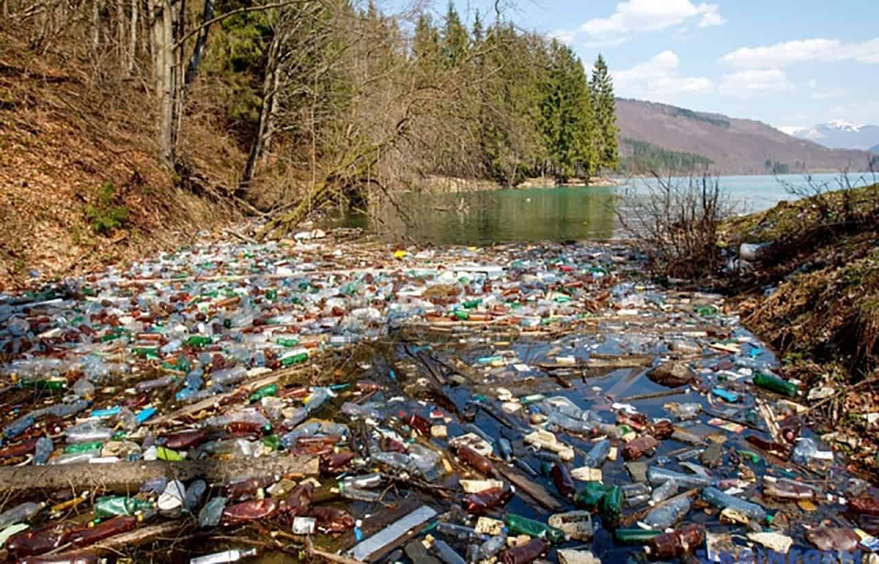 Где находится мусорка. Загрязнение лесов и рек. Загрязнение рек. Речка с мусором. Свалка на берегу реки.