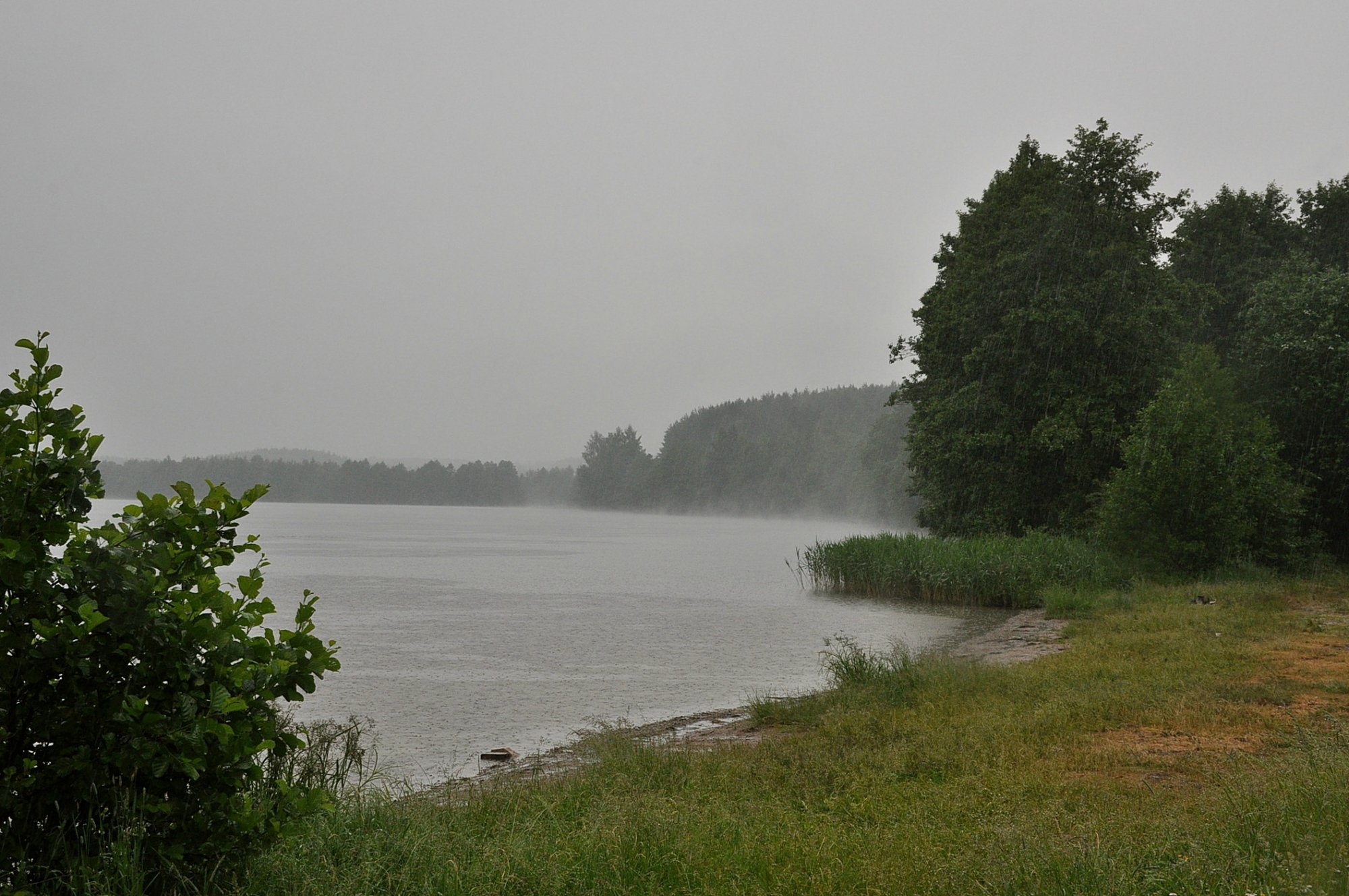 Погода в м озерах. Сергиев Посад озеро Плещеево. Пасмурное озеро. Дождь на озере. Озеро в пасмурную погоду.