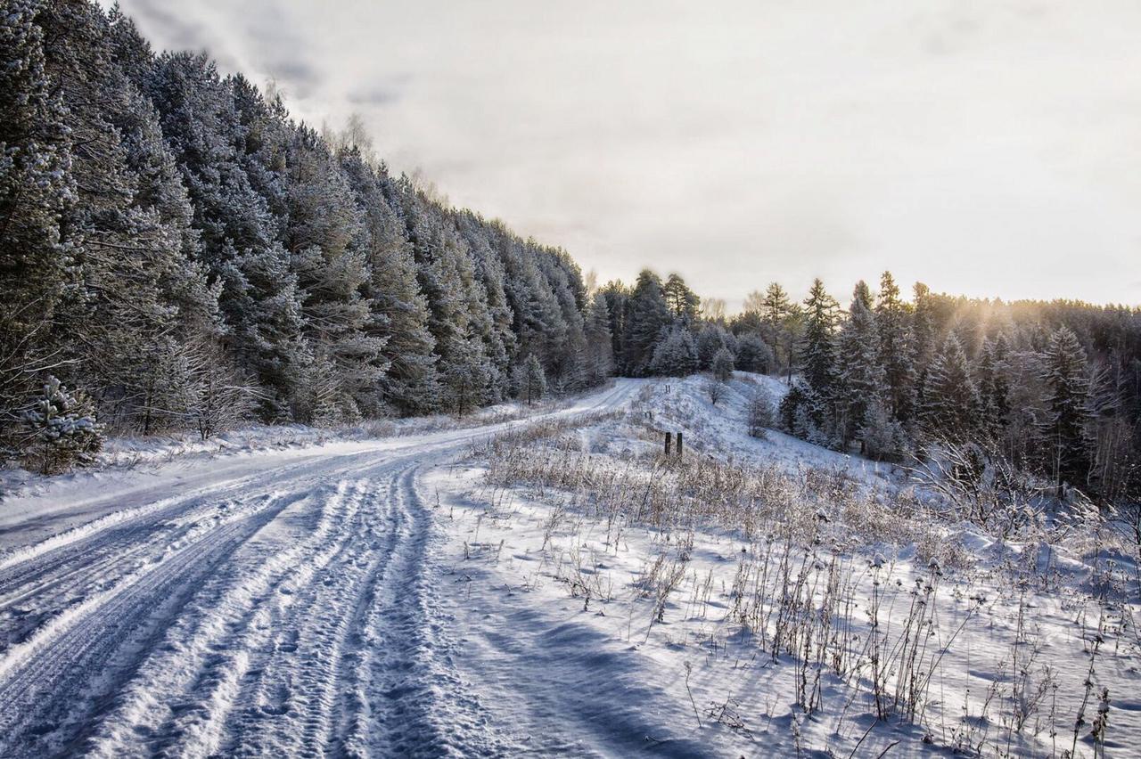 Зимняя дорога песни. Зимняя дорога. Зимняя Проселочная дорога. Пыльная дорога. Россия зимняя дорога красота.