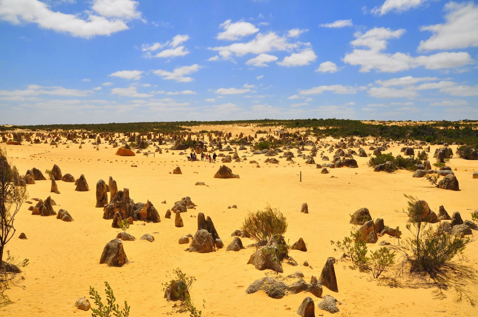 Пустыня гибсона австралия
