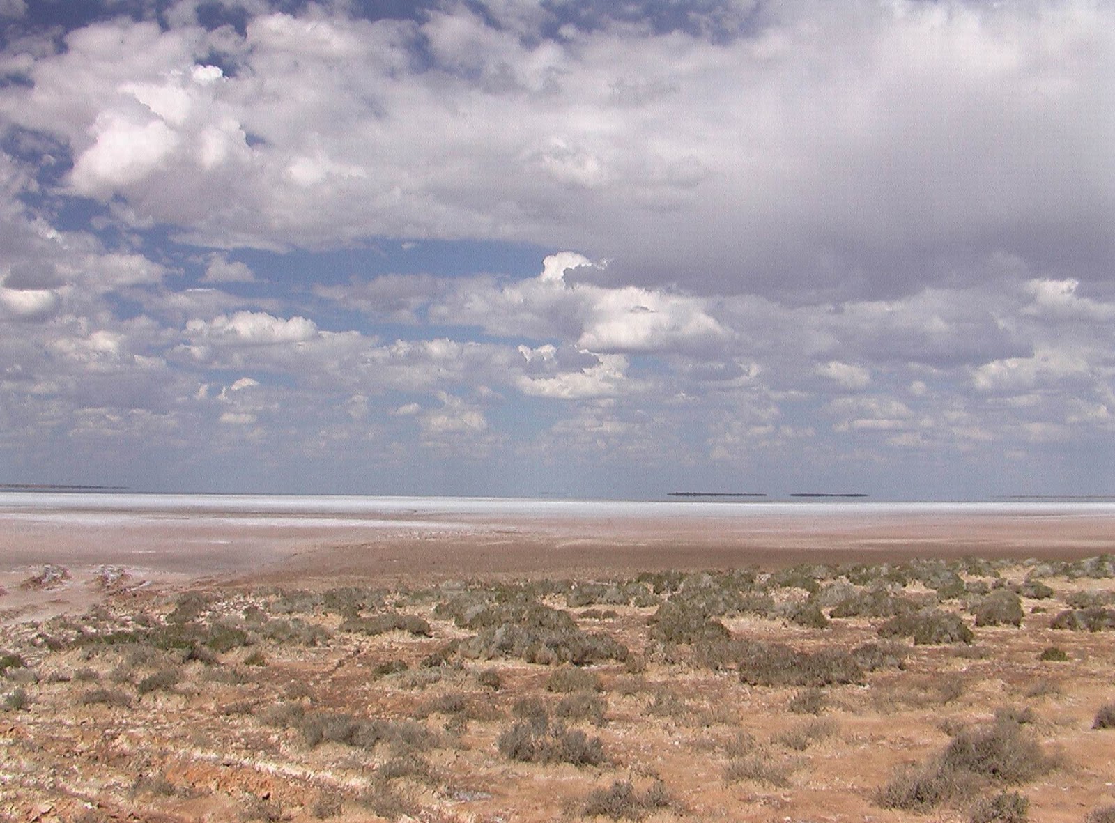 Пустыня гибсона австралия. Пустыни Австралии Гибсона. Пустыня Гибсон в Австралии. Большая пустыня Гибсона. Пустыня Гибсона фото.