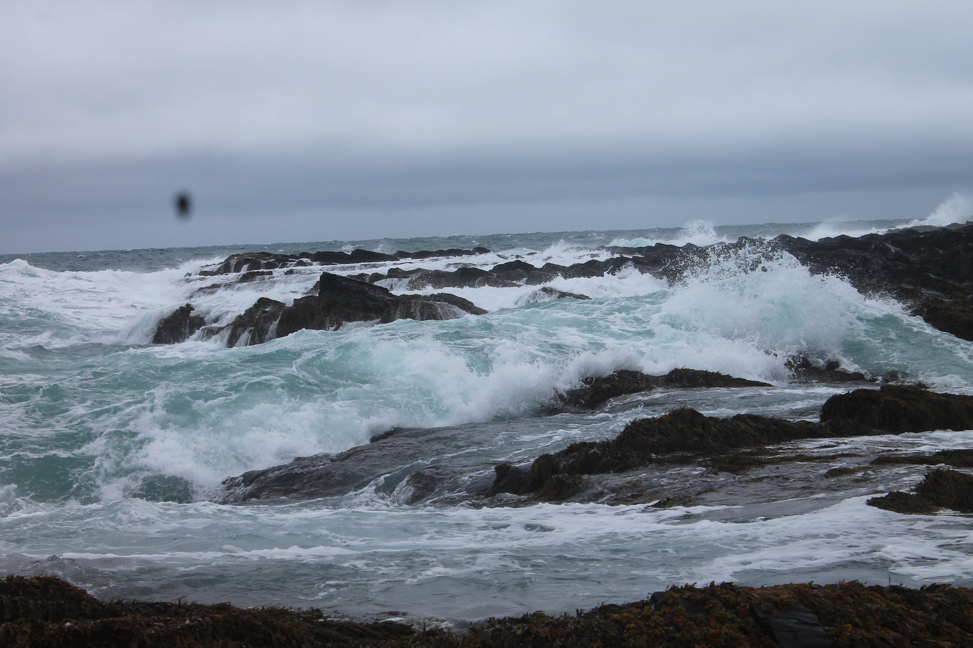 Береговая линия баренцево. Баренцево море шторм. Баренцево море шторм фото. Баренцево море волны. Море Приморский край шторм.