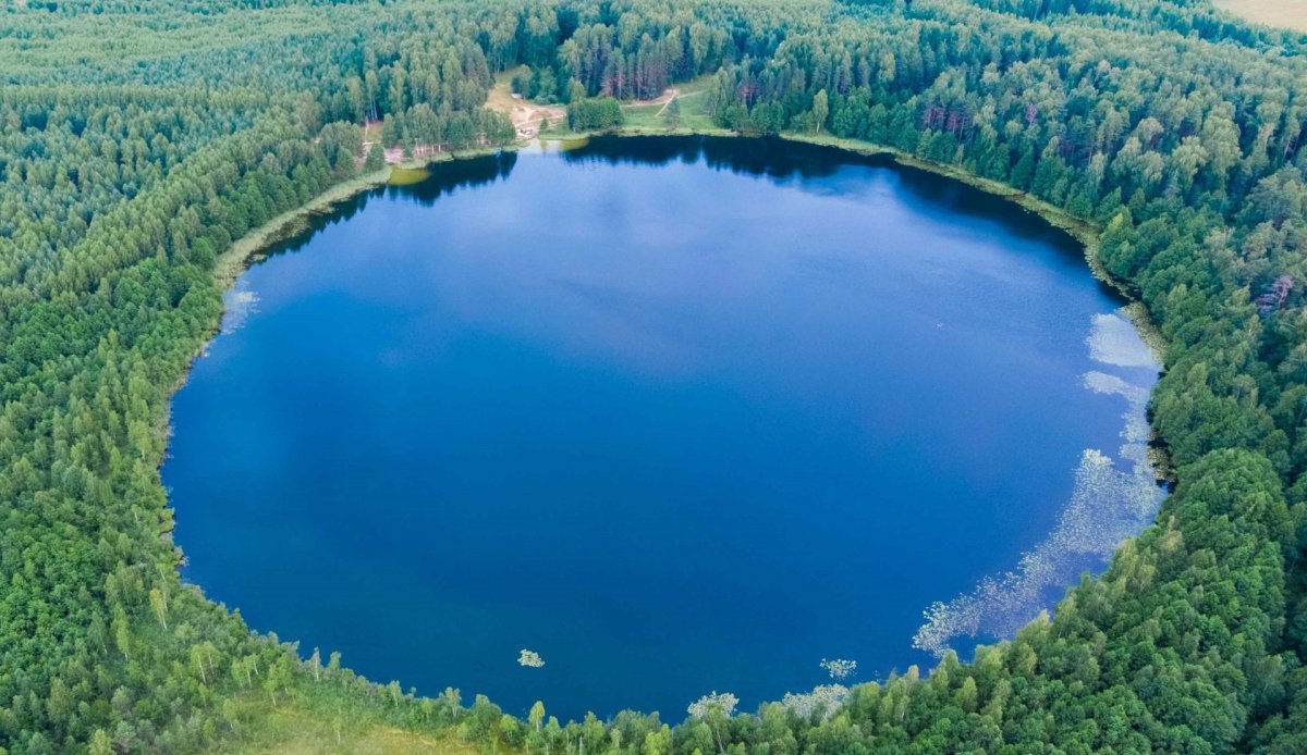 Озеро в зеленом городе нижегородской области
