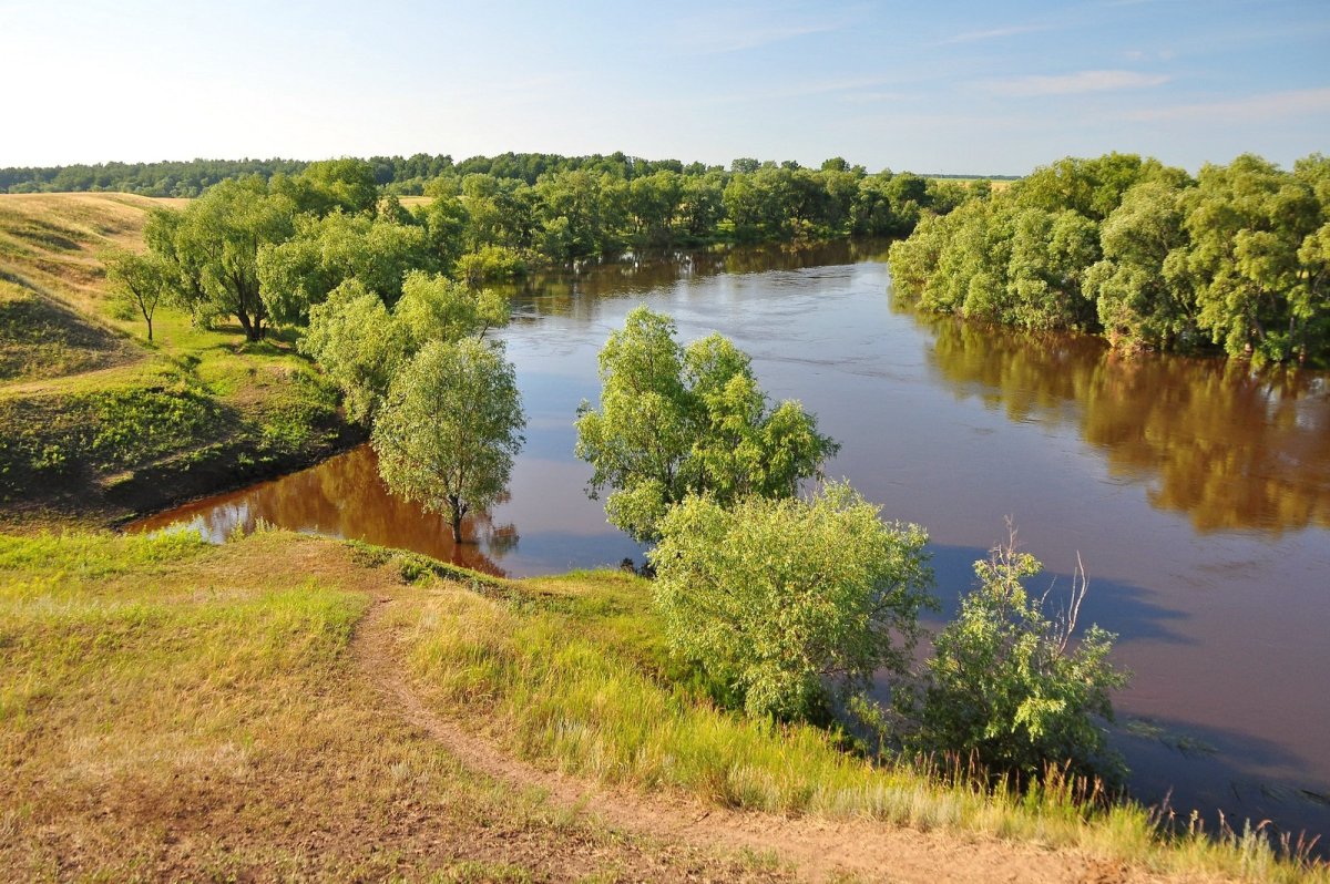 Река омка новосибирская область