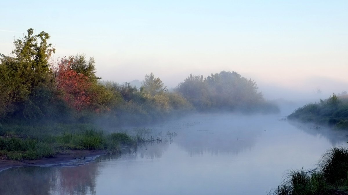 Река цна рязанская область