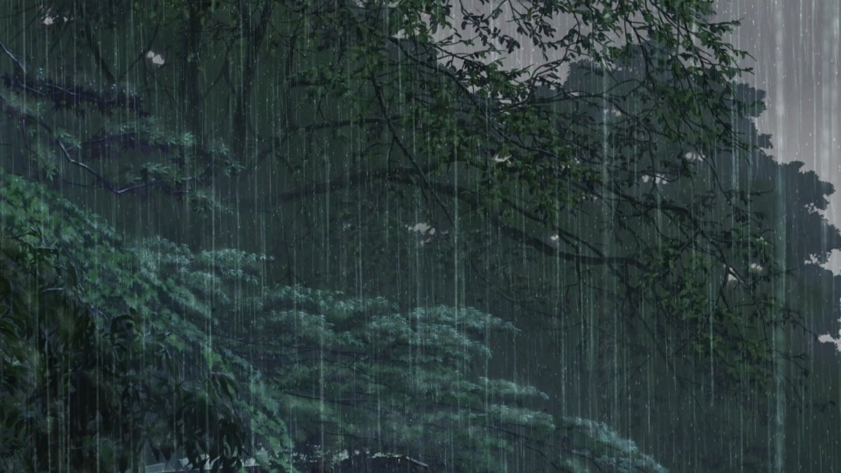 Лес поле дождь