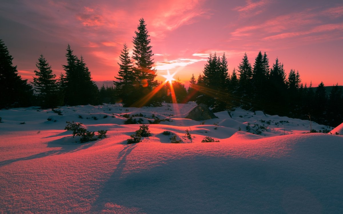 Красивый закат зимой