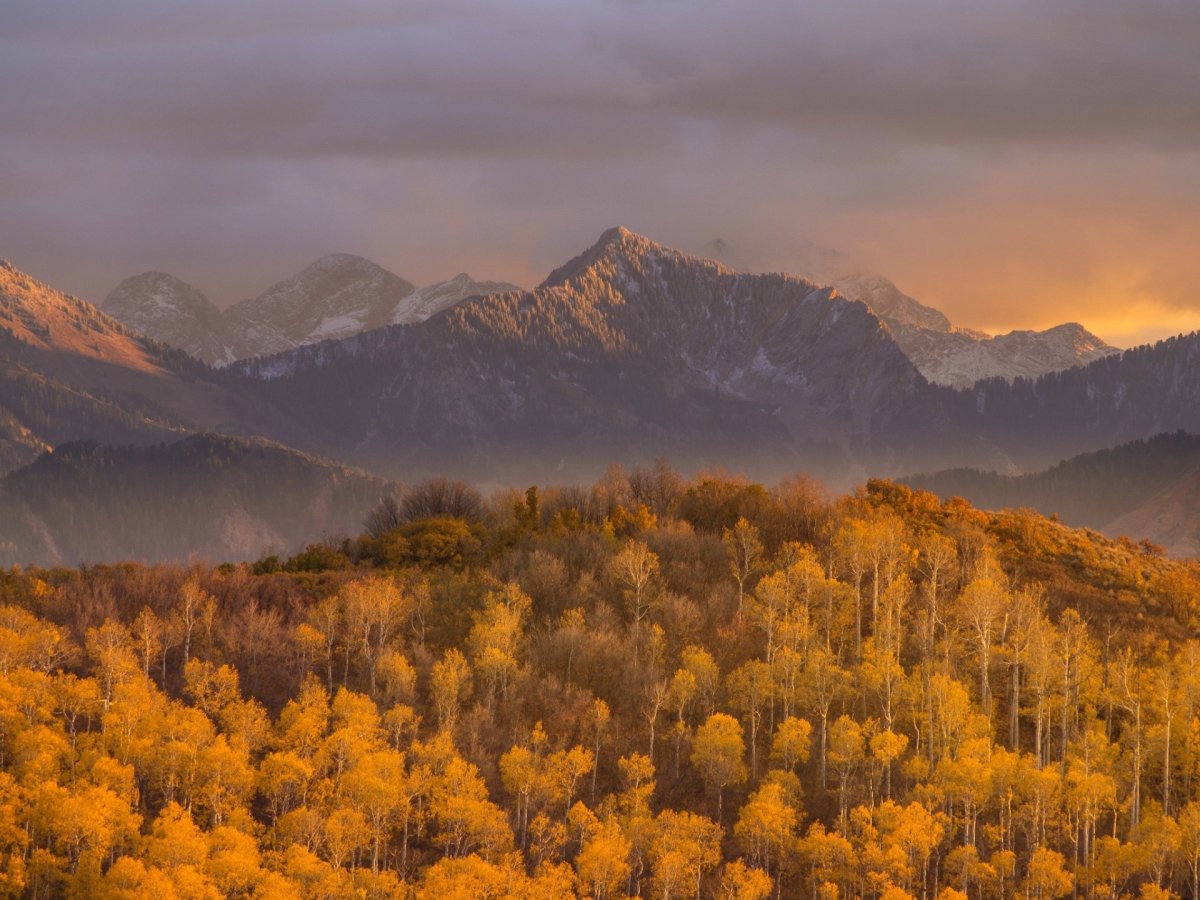 Осень лес горы