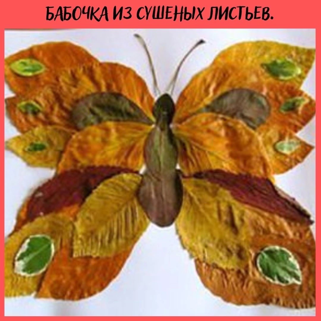 Бабочка из листочков