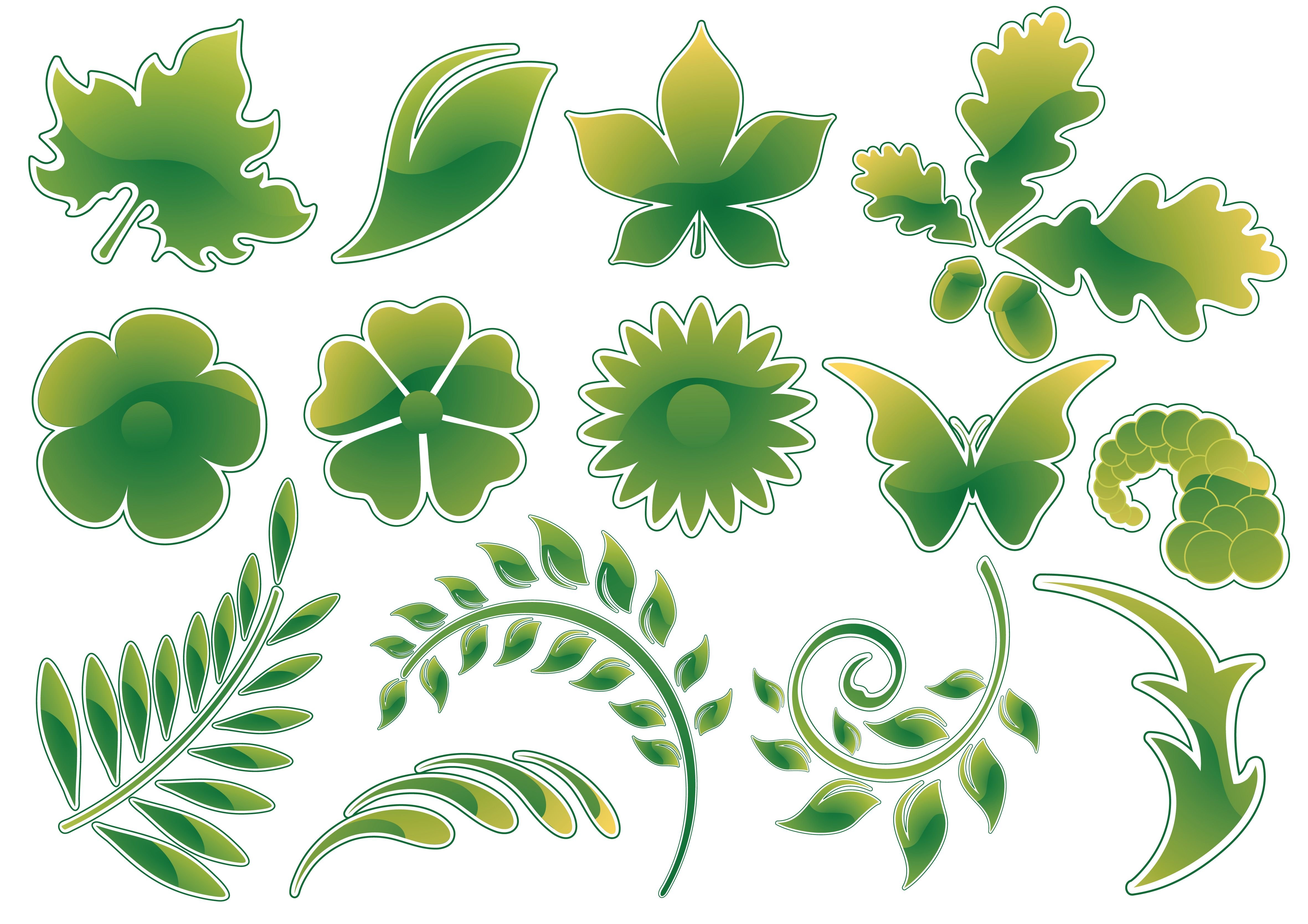 Шаблон зеленого листа. Красивые листочки цветов цветные для вырезания. Зеленые цветы для вырезания. Элементы цветочков и листиков. Наклейки цветы на листе.