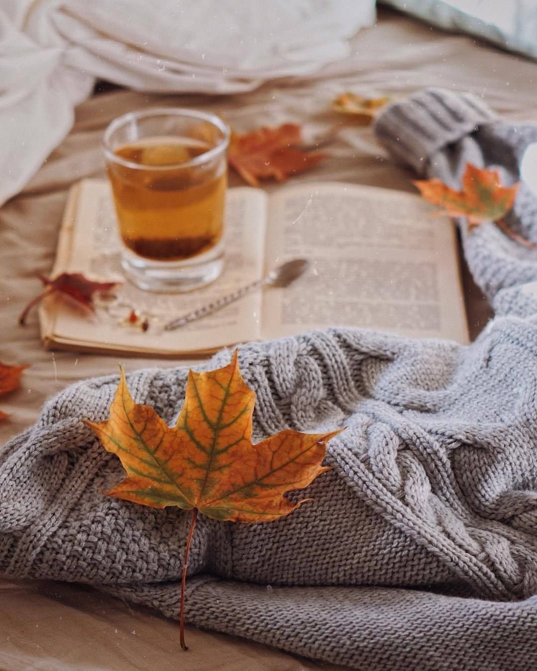 Книга холодное утро. Осенний плед. Уютная осень. Осеннее чаепитие. Осенний уют.