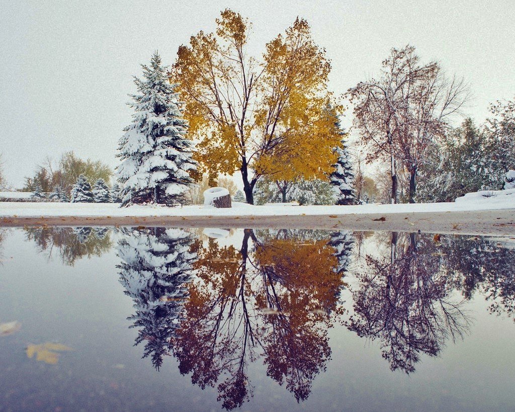 Осень переходящая в зиму