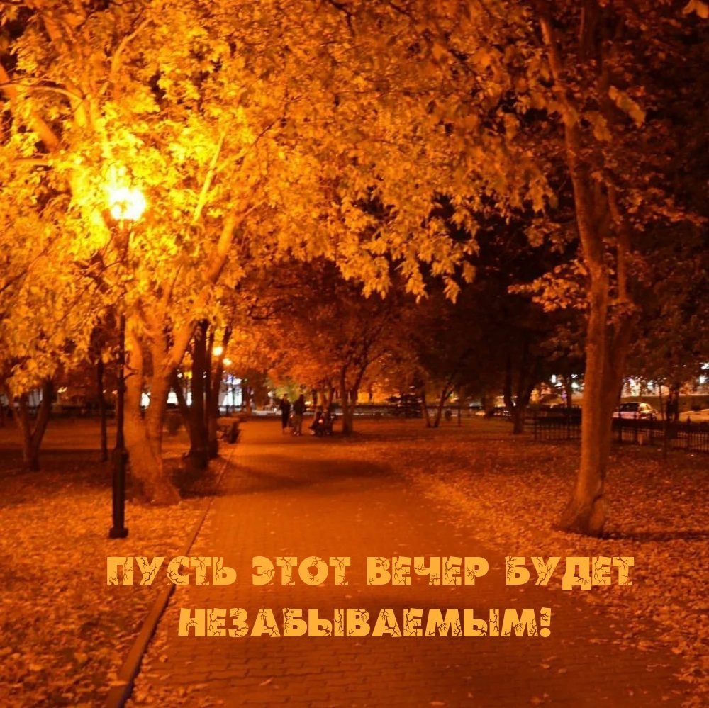 Осенний парк ночью