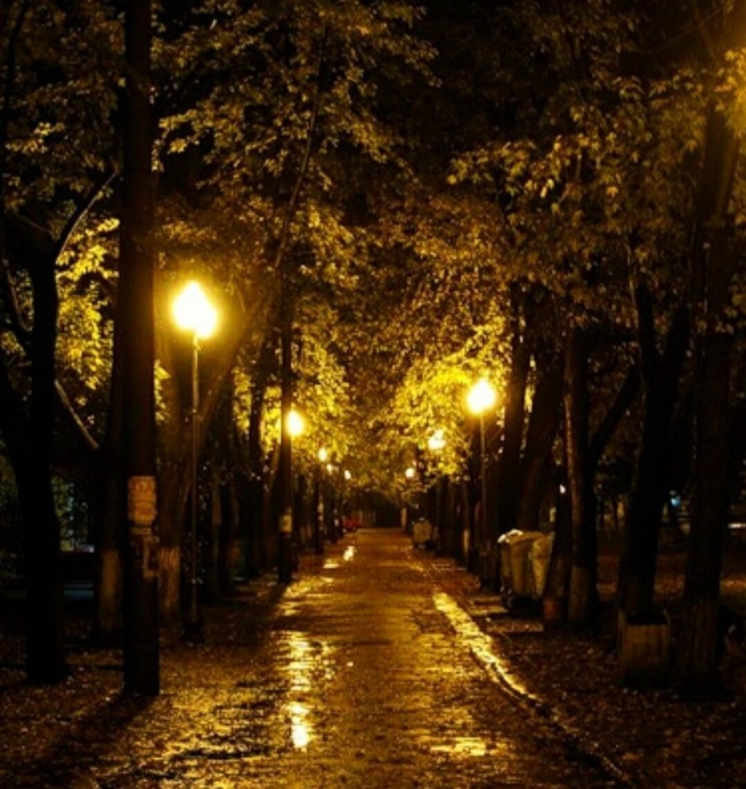 Бывают осенние ночи. Осенняя ночь в городе. Ночная аллея. Ночь осень город. Аллея с фонарями.