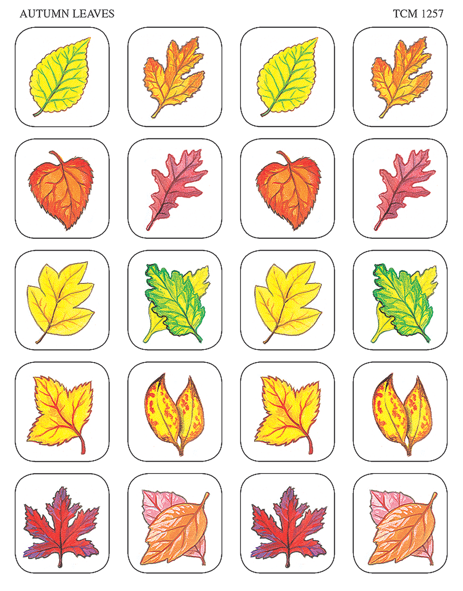 Звук листьев для детей. Листья разных деревьев. Листы деревьев и их названия. Осенние листочки. Листья для дошкольников.