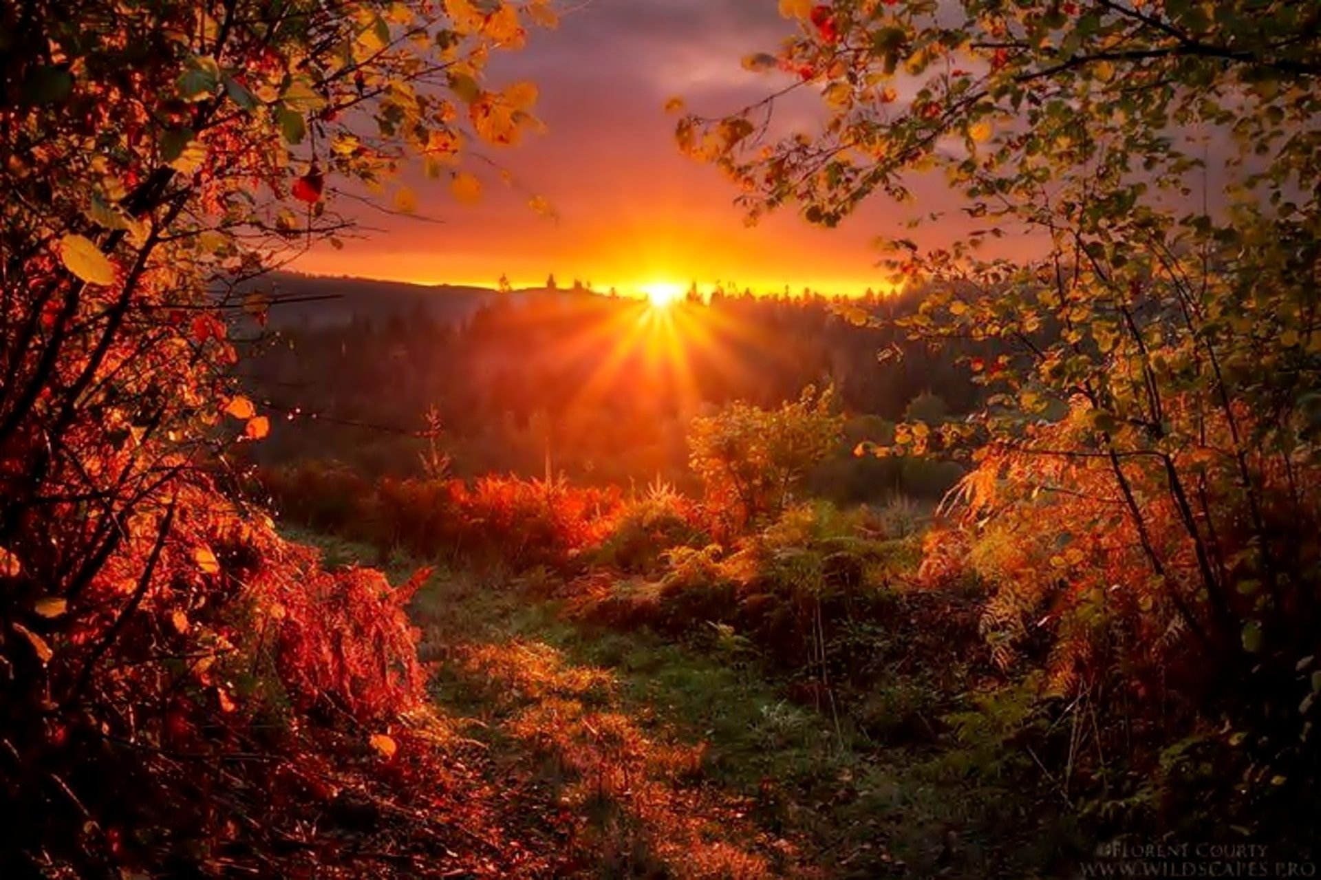 В 7 вечера где солнце. Осенний закат. Осень закат. Осенний рассвет. Осенний закат в лесу.