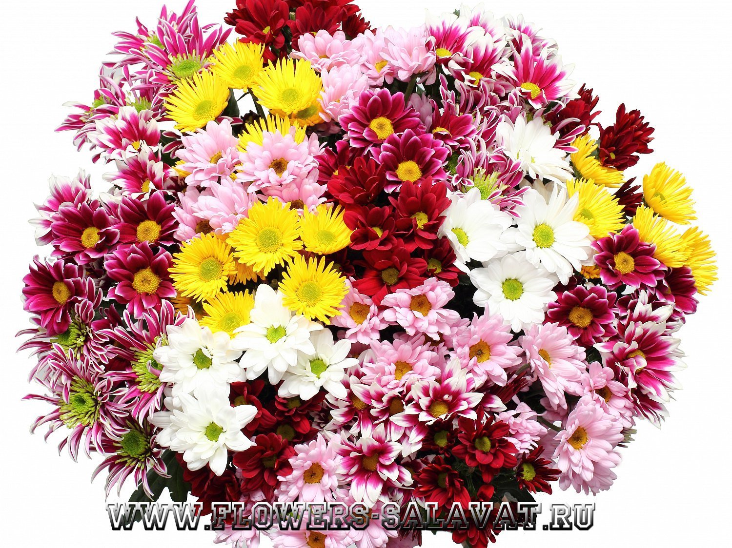 Букет цветов с днем рождения хризантемы