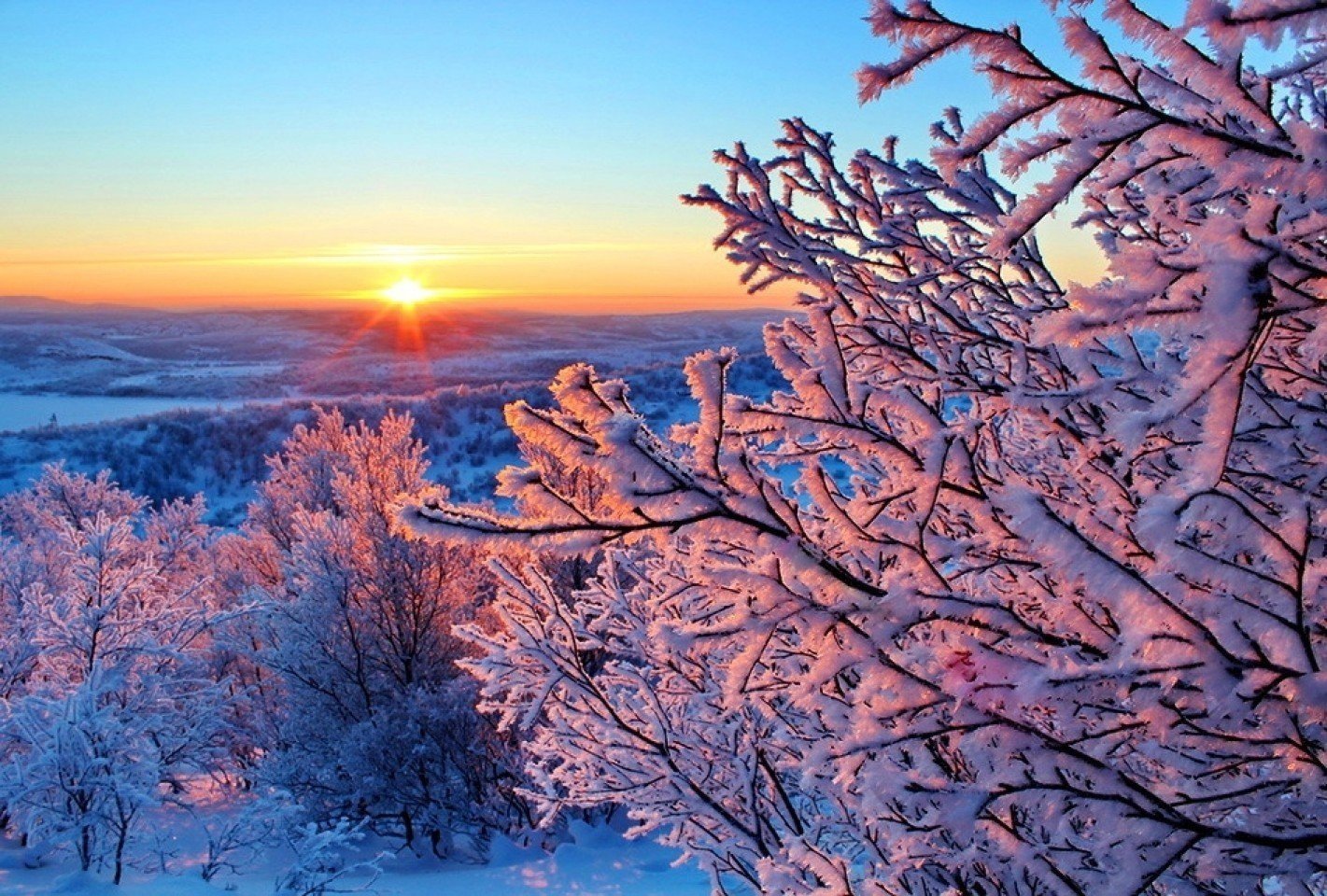 Январский день. Зимнее утро. Зима пейзаж. Красивая зима.