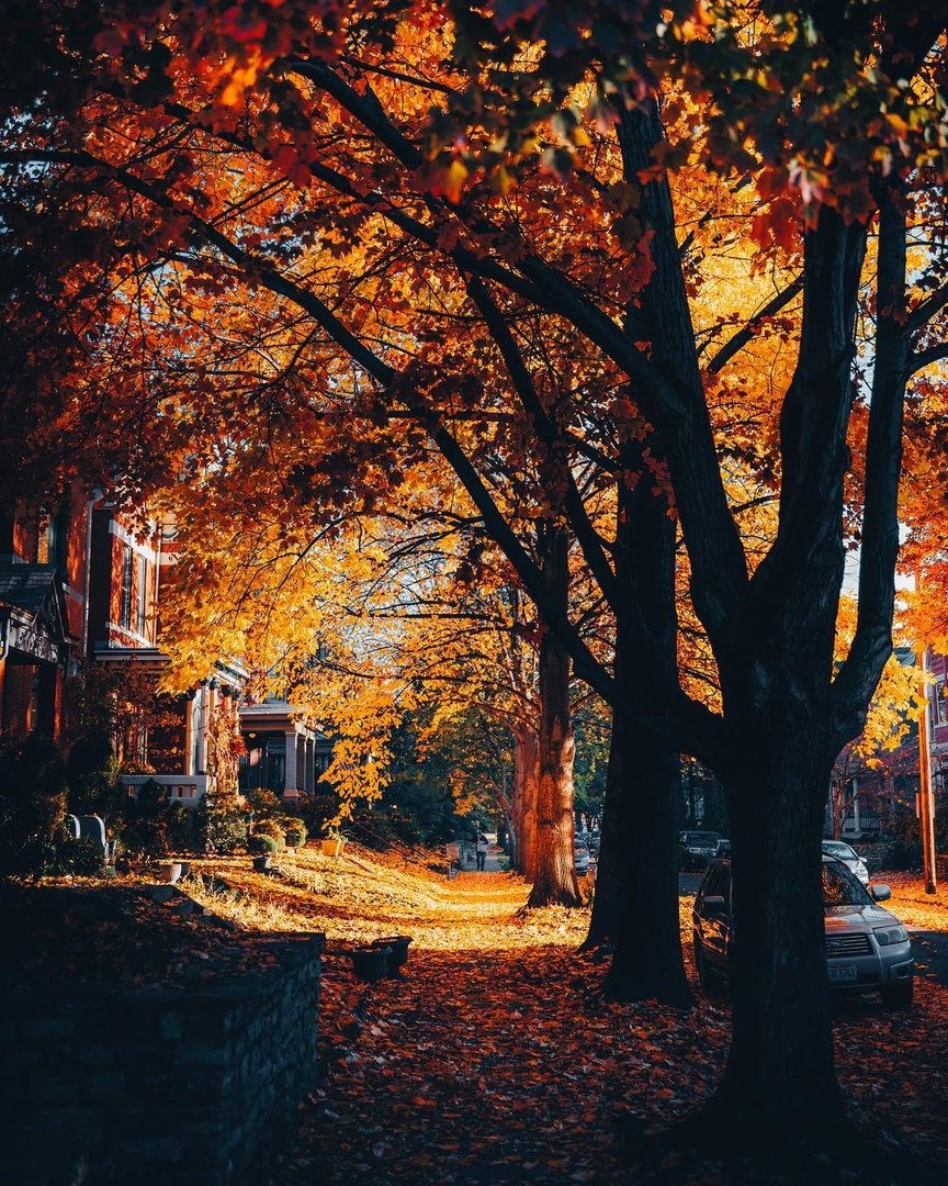 Осень улица