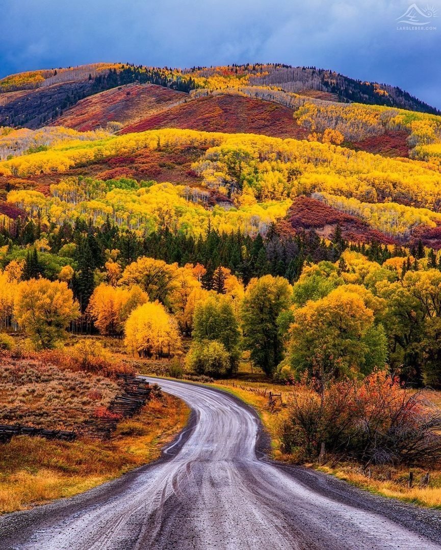 Пейзаж осени