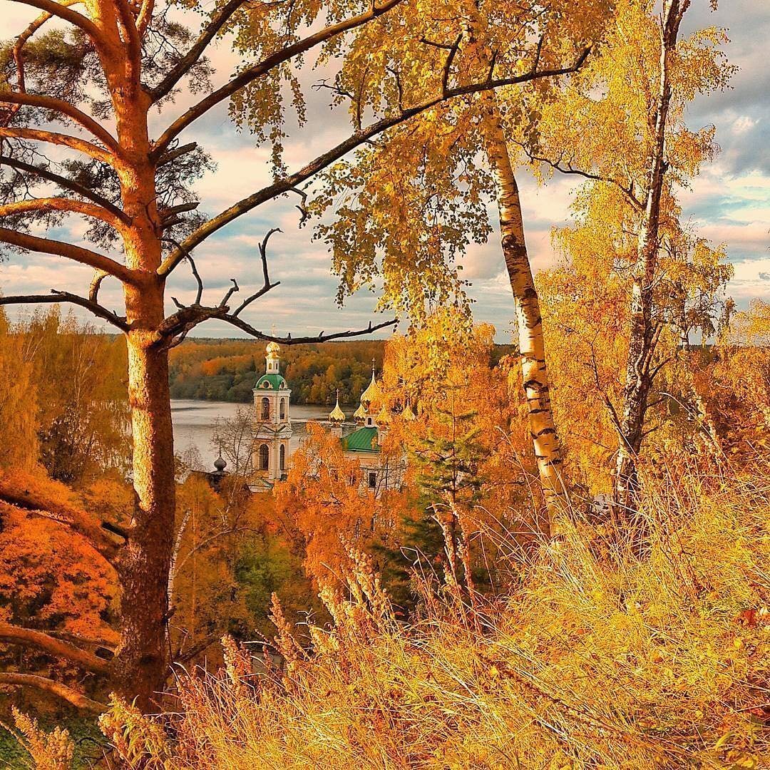 Золотая осень . Город Плес . Ивановская область .