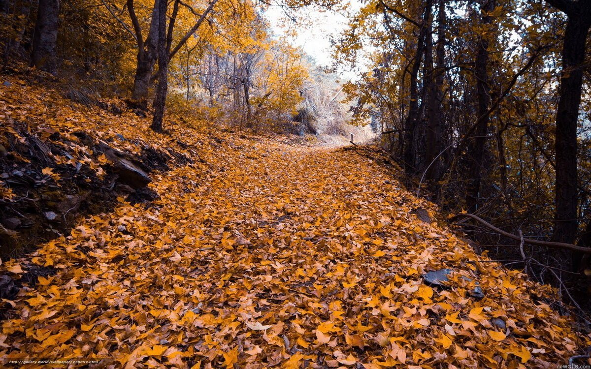 Борис Пастернак осень