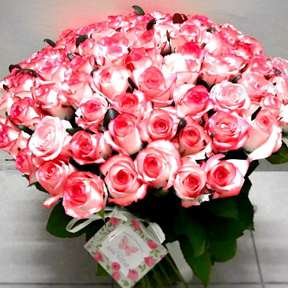 Букет роз для женщин большой и красивый. 101 Джумилия. Букет шикарный. Огромный букет цветов.