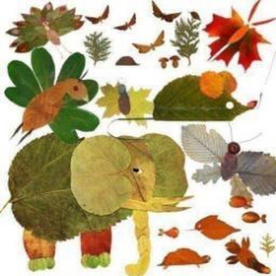 Гербарий из осенних листьев для детей