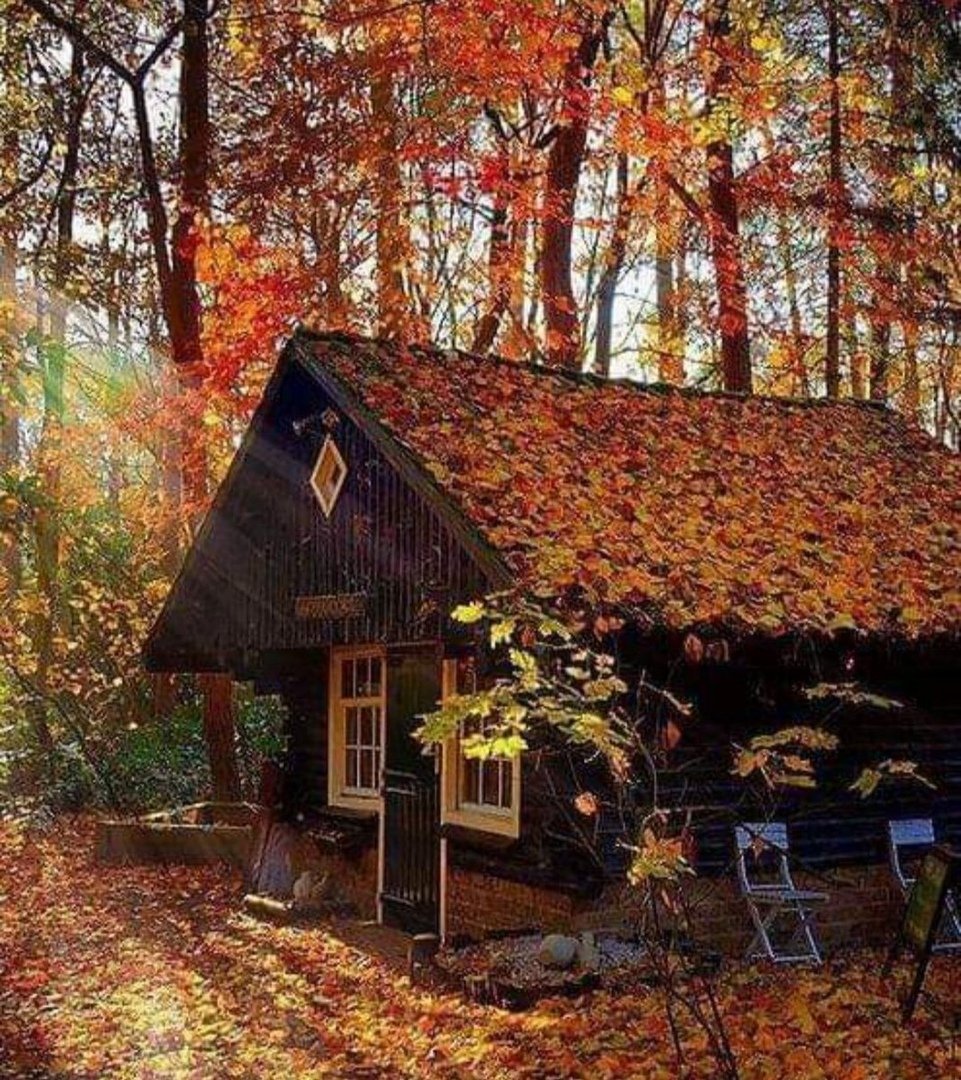Осень дом в лесу
