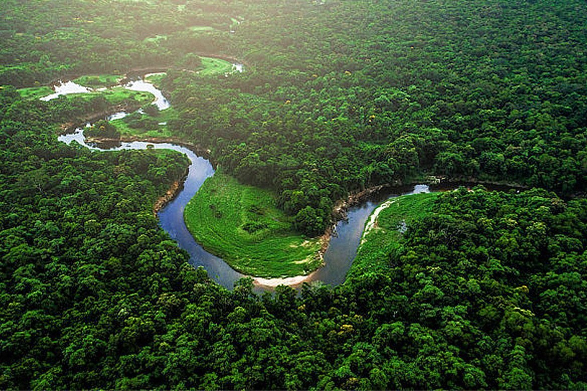 Амазонка какое устье. Амазонская Сельва. Устье реки Амазонка. Устье амазонки фото.