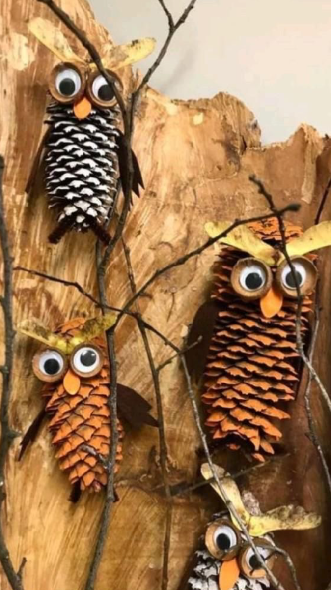 Сова из шишки