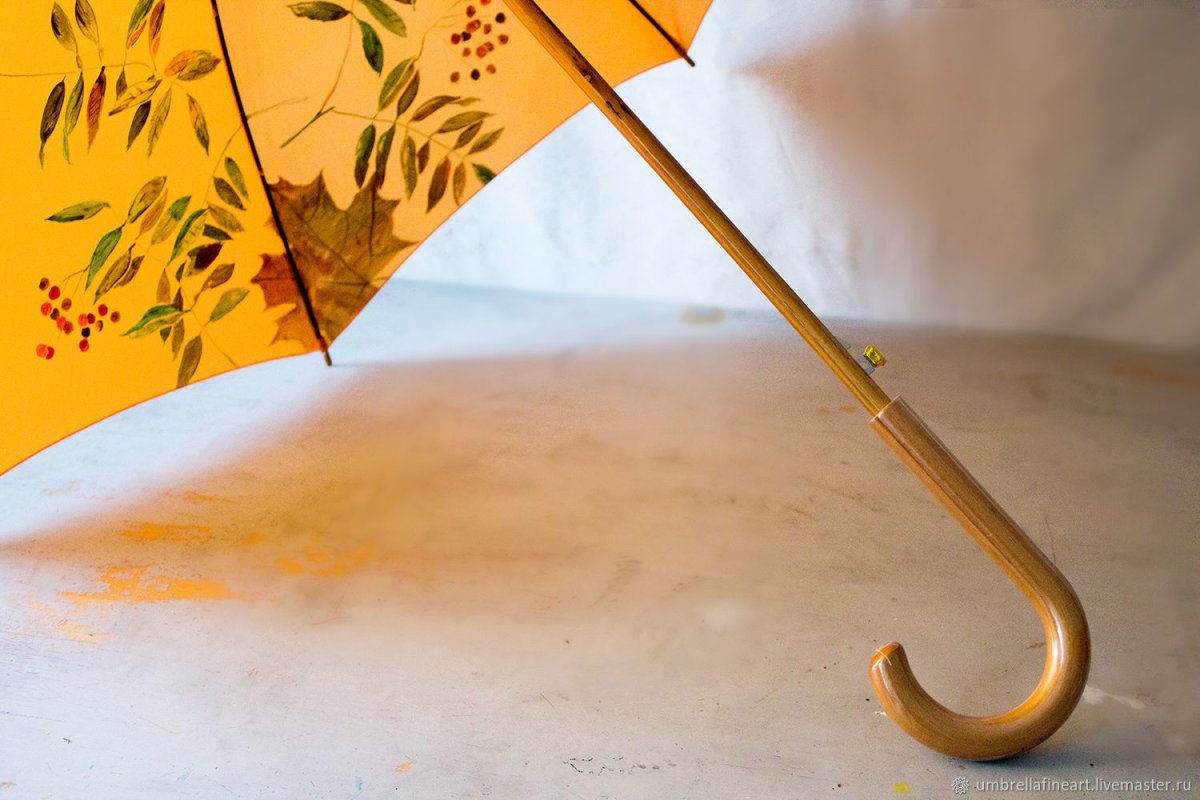 Зонт рябина