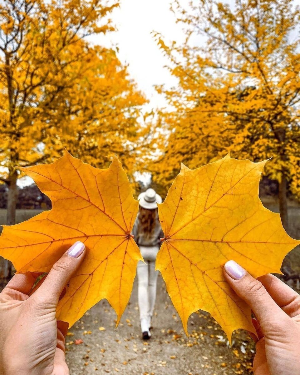 Фотосессия с кленовыми листьями