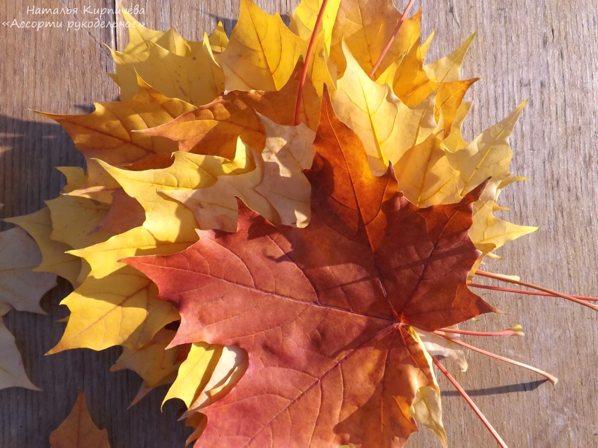 Каждый листик золотой