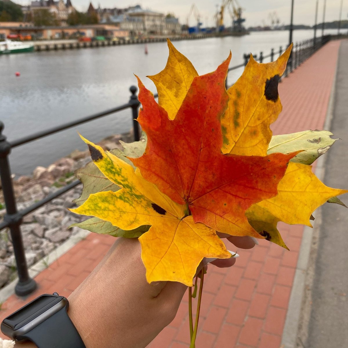 Чаша из кленовых листьев